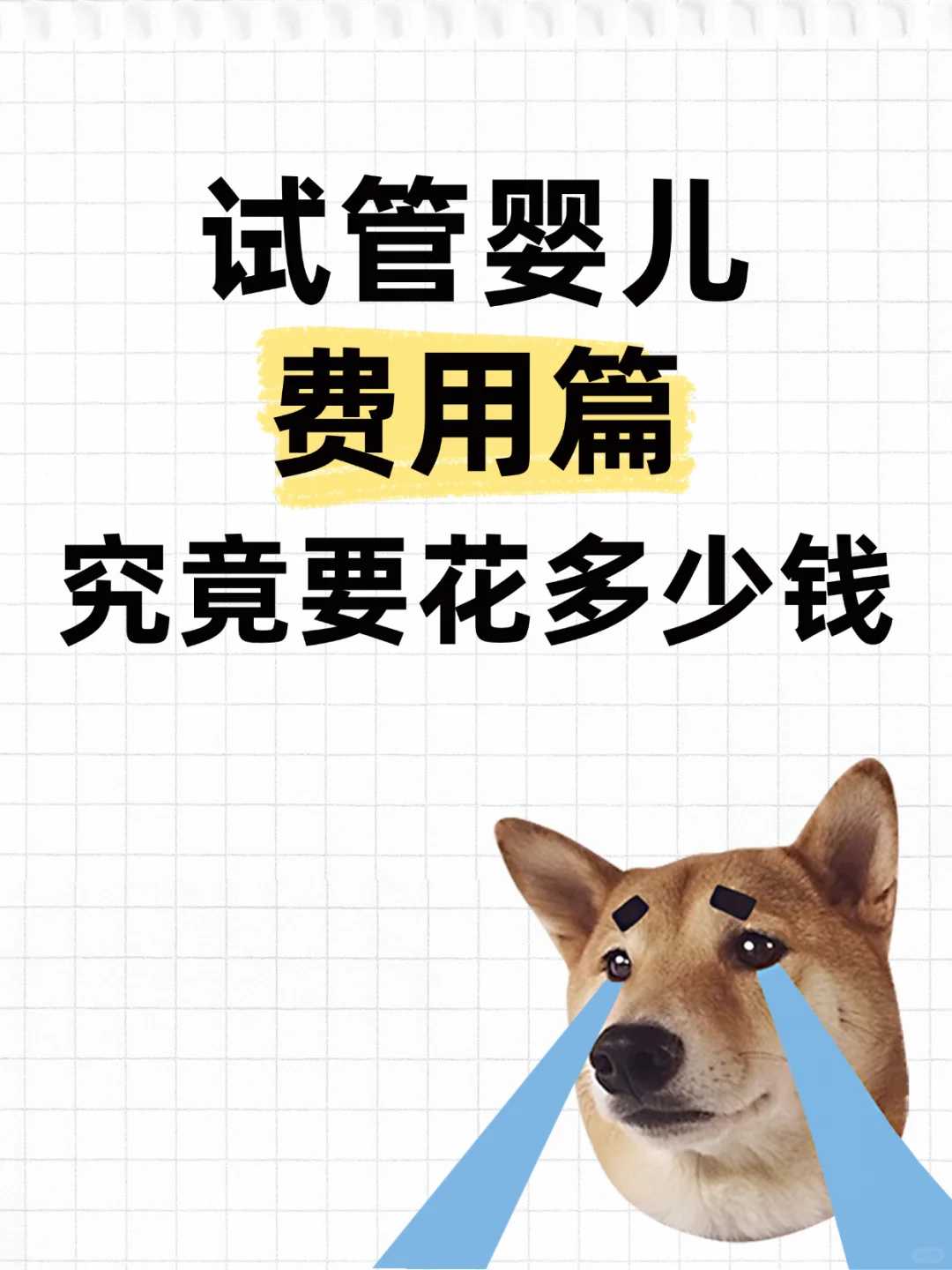 三代试管移植后必做的5件事提高着床率